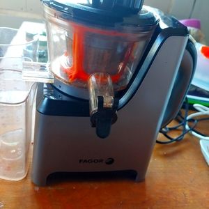 Fruit and vegetable juicer